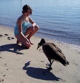 girl and goose on beach
